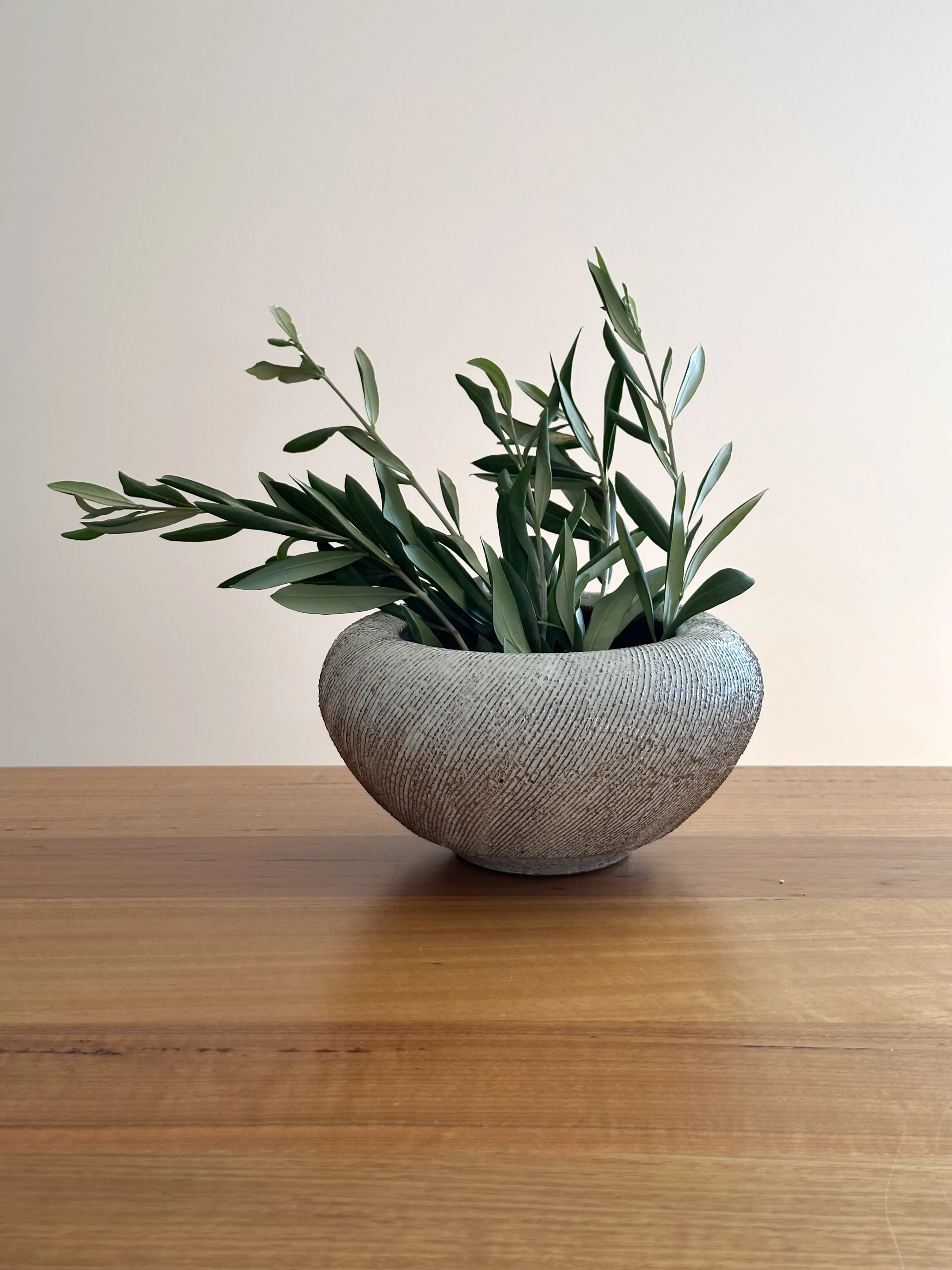 Wide fork-cut stoneware planter holding olive branches